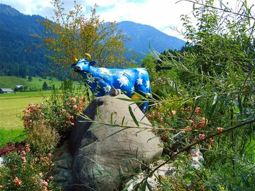 rubicamp-oberstdorf-oberstdorf-34hsv
