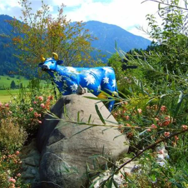 rubicamp-oberstdorf-oberstdorf-34hsv