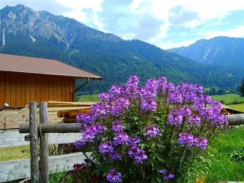 rubicamp-oberstdorf-oberstdorf-pesjn