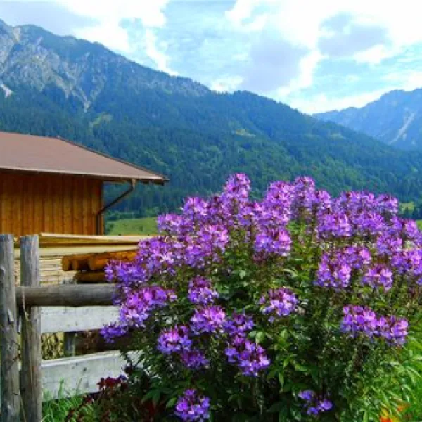 rubicamp-oberstdorf-oberstdorf-pesjn