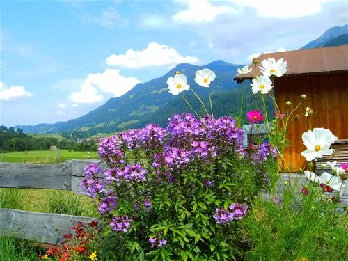 rubicamp-oberstdorf-oberstdorf-qagxm