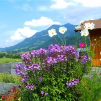 rubicamp-oberstdorf-oberstdorf-qagxm