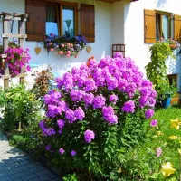 rubicamp-oberstdorf-oberstdorf-sxqd7