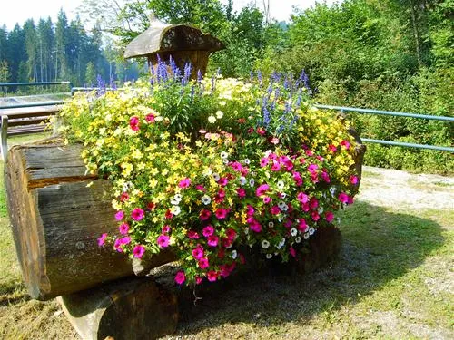 rubicamp-oberstdorf-oberstdorf-xknbb