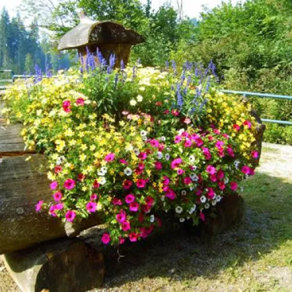 rubicamp-oberstdorf-oberstdorf-xknbb