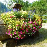rubicamp-oberstdorf-oberstdorf-xknbb