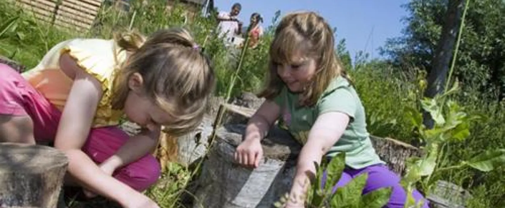 Waveney River Centre