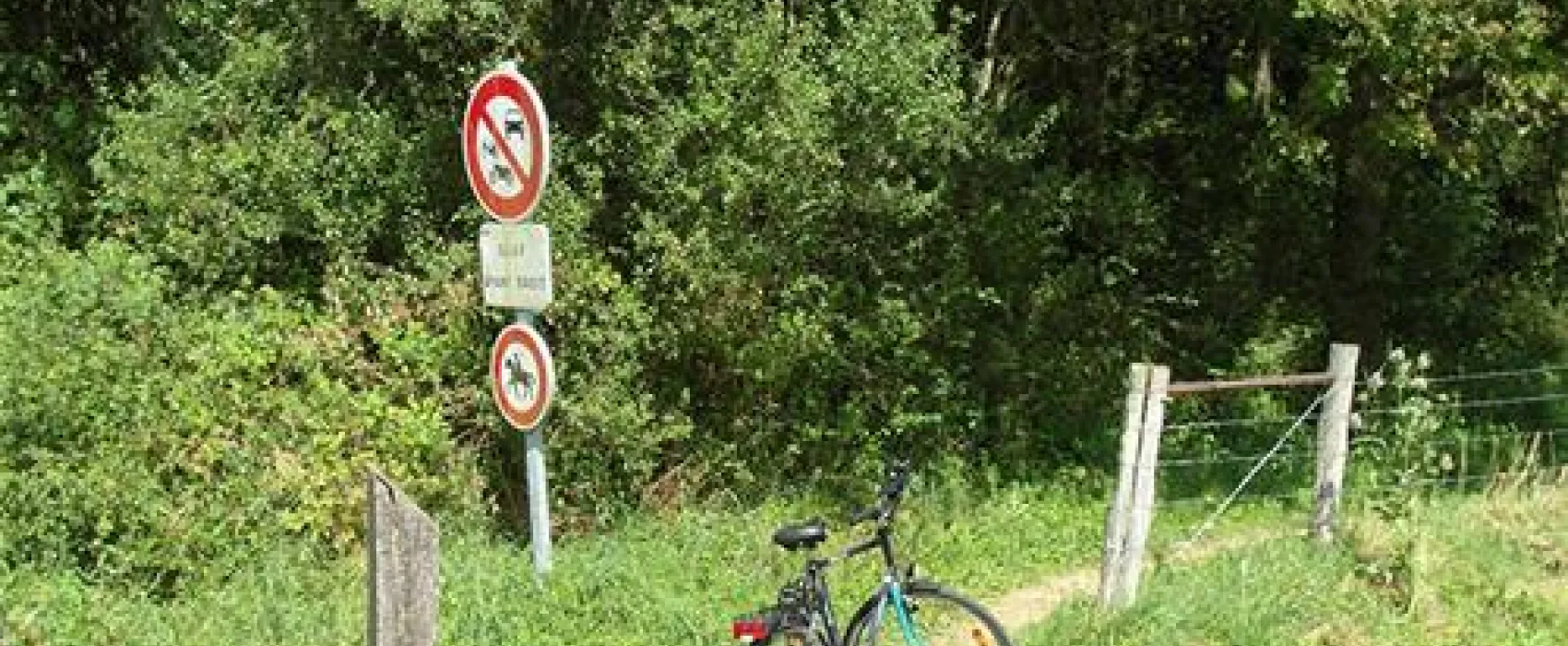 Camping Municipal Du Lac
