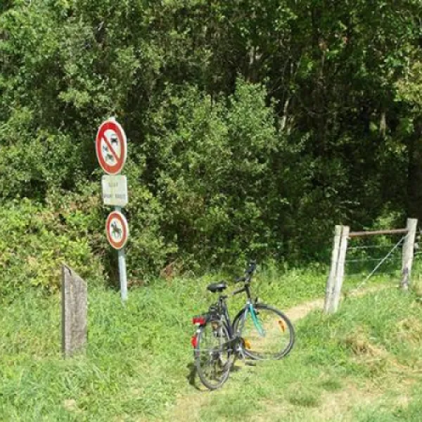 camping-municipal-du-lac-villegusien-le-lac-ms5pw