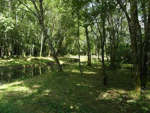 camping-municipal-du-lac-villegusien-le-lac-yrlkx