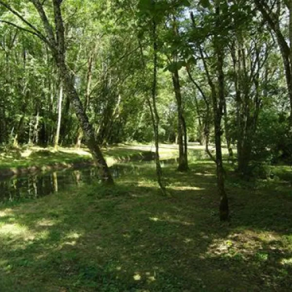 camping-municipal-du-lac-villegusien-le-lac-yrlkx