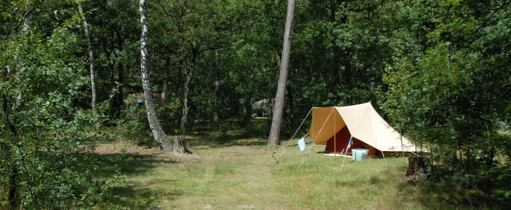 Camping Landgoed Vilsteren