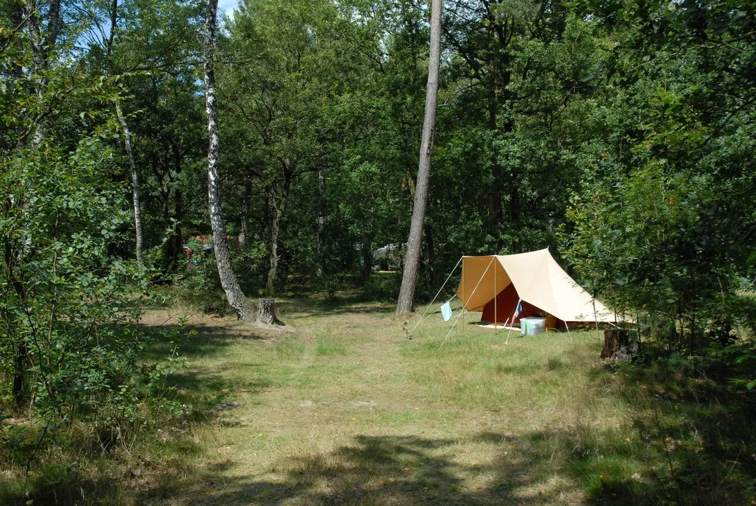camping-landgoed-vilsteren-vilsteren-lkwfd