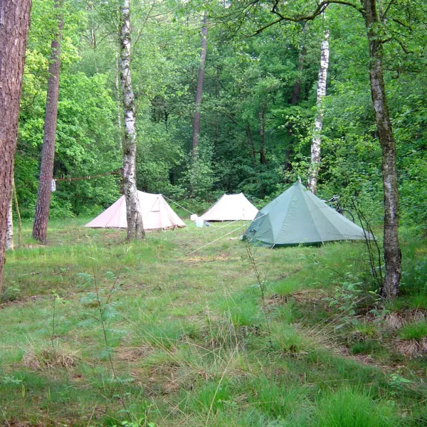 camping-landgoed-vilsteren-vilsteren-vmcy7