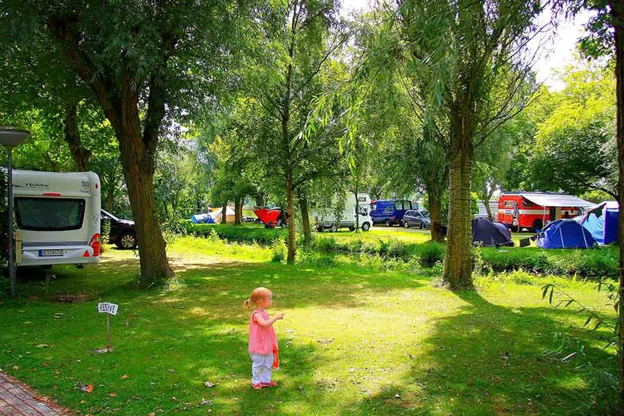 camping-het-rietveen-landsmeer-pctmq