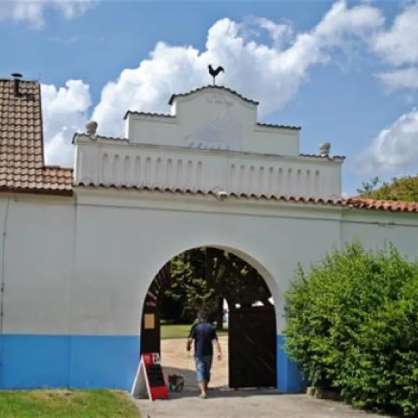 novy-dvur-tyn-nad-vltavou-qutch