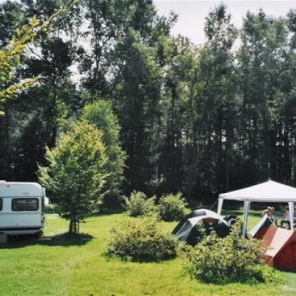 novy-dvur-tyn-nad-vltavou-wfjmb