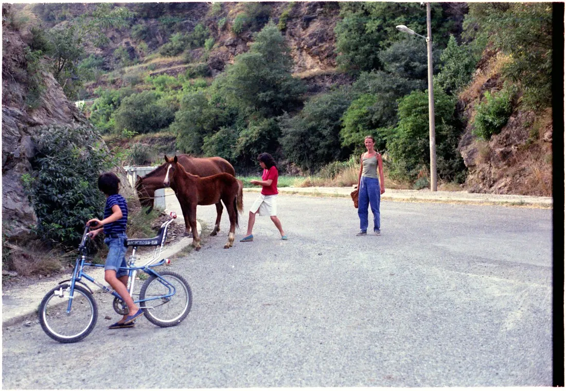 camping-buchaca-montferrer-i-castellb-ix3vp