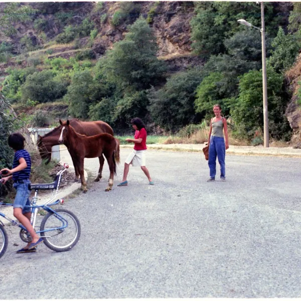 camping-buchaca-montferrer-i-castellb-ix3vp