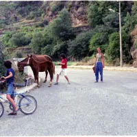 camping-buchaca-montferrer-i-castellb-ix3vp