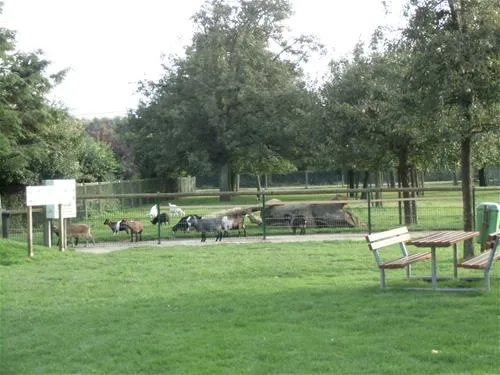 campingpark-kerstgenshof-sonsbecklabbeck-10ote