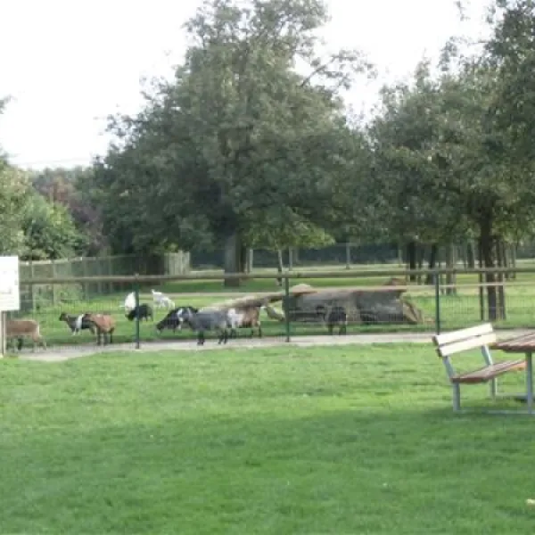 campingpark-kerstgenshof-sonsbecklabbeck-10ote