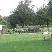 campingpark-kerstgenshof-sonsbecklabbeck-10ote