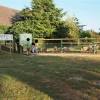 campingpark-kerstgenshof-sonsbecklabbeck-vbc4x