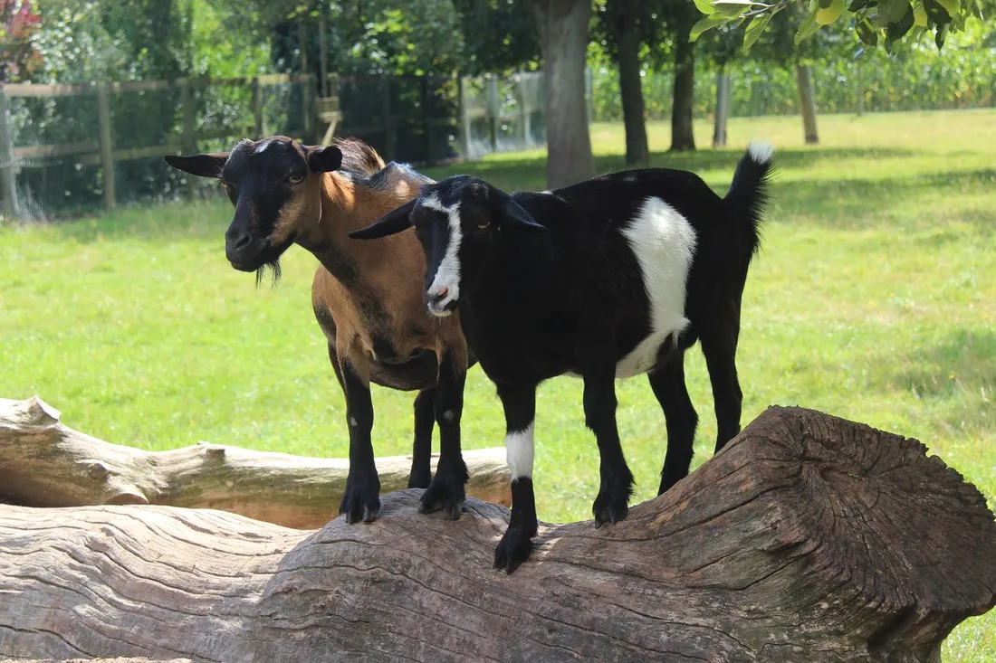 campingpark-kerstgenshof-sonsbecklabbeck-xkelk