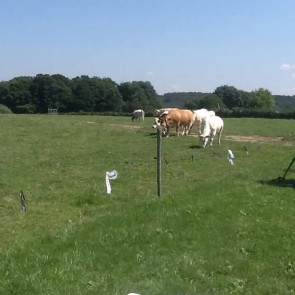 camping-de-kloostermuur-noorbeek-v3mkm