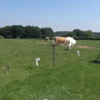 camping-de-kloostermuur-noorbeek-wxjsm