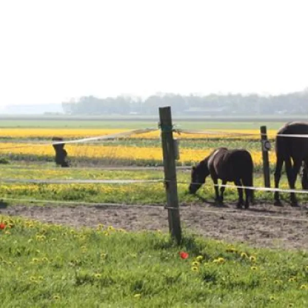 boerencamping-tlemsterhop-lemmer-vselu