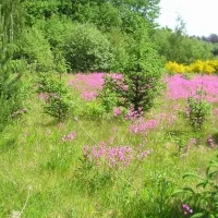 tolne-bakker-camping-sindal-2jvjc