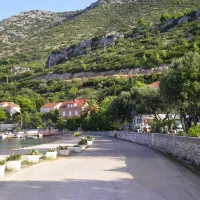 Camping Palme