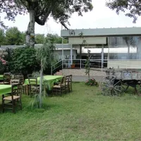 thalatta-kalamitsi-village-camp-kalamitsisithonia-3lw57