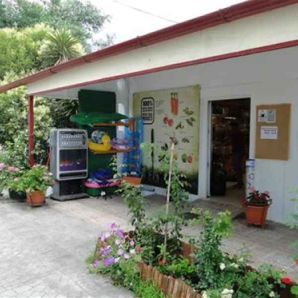 thalatta-kalamitsi-village-camp-kalamitsisithonia-6yvvq