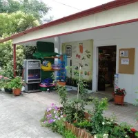 thalatta-kalamitsi-village-camp-kalamitsisithonia-6yvvq