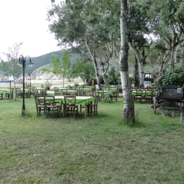 thalatta-kalamitsi-village-camp-kalamitsisithonia-7krgu