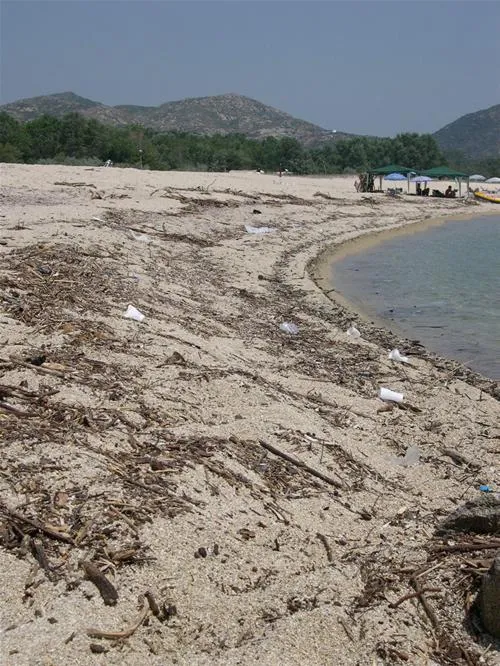 thalatta-kalamitsi-village-camp-kalamitsisithonia-9bbne