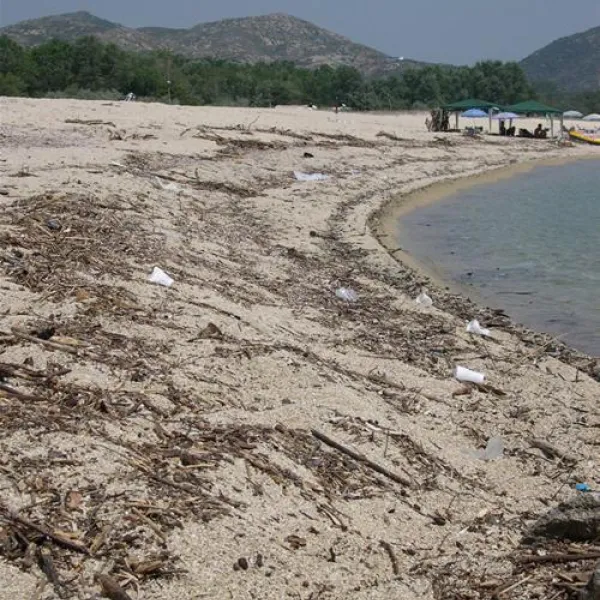 thalatta-kalamitsi-village-camp-kalamitsisithonia-9bbne