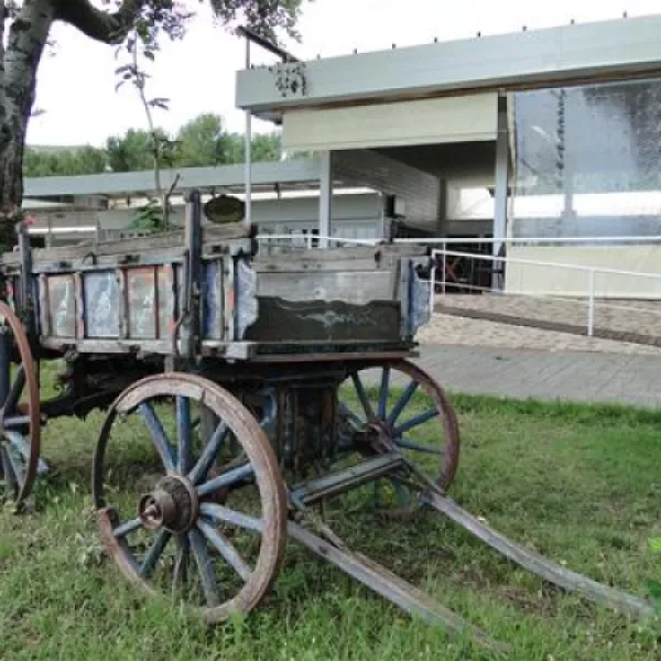 thalatta-kalamitsi-village-camp-kalamitsisithonia-bcvgl