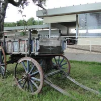 thalatta-kalamitsi-village-camp-kalamitsisithonia-bcvgl