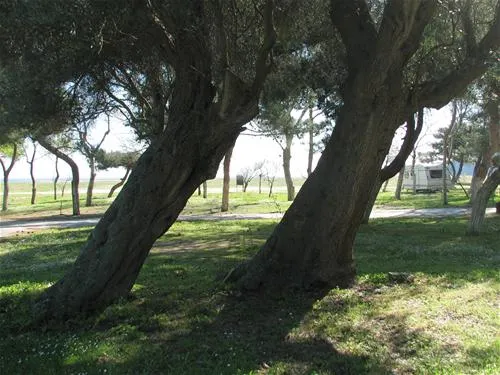 thalatta-kalamitsi-village-camp-kalamitsisithonia-lmzhe