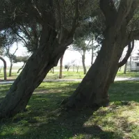 thalatta-kalamitsi-village-camp-kalamitsisithonia-lmzhe