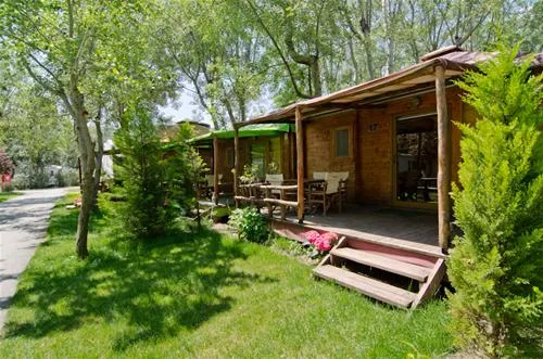 thalatta-kalamitsi-village-camp-kalamitsisithonia-mv9kw