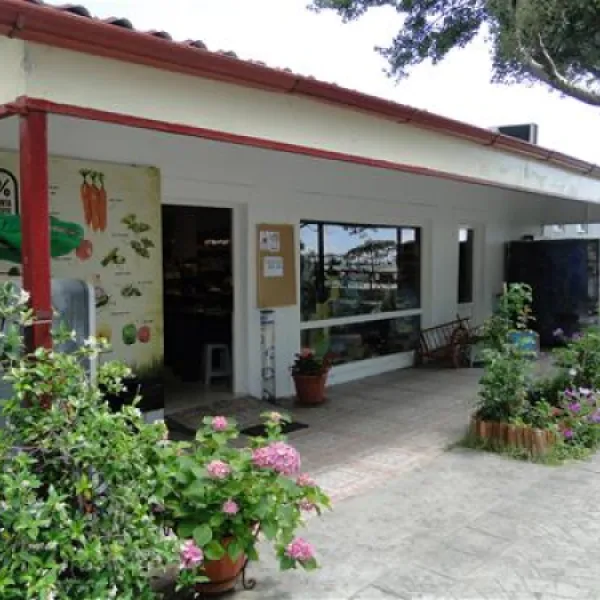 thalatta-kalamitsi-village-camp-kalamitsisithonia-o3f5a