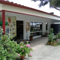 thalatta-kalamitsi-village-camp-kalamitsisithonia-o3f5a