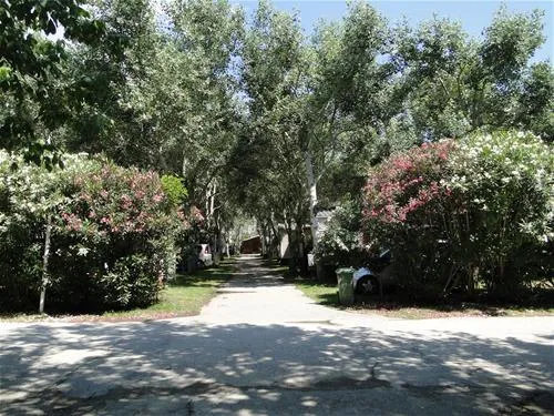 thalatta-kalamitsi-village-camp-kalamitsisithonia-tyrub