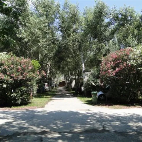 thalatta-kalamitsi-village-camp-kalamitsisithonia-tyrub