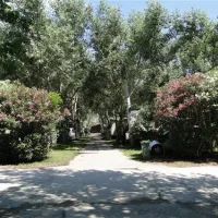 thalatta-kalamitsi-village-camp-kalamitsisithonia-tyrub